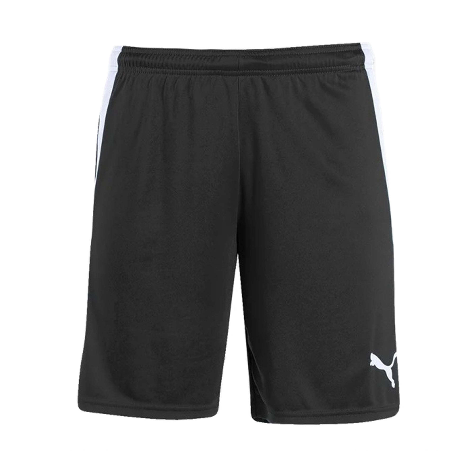 CLAREMONT STARS MEN'S AND YOUTH SHORT - PUMA TEAM LIGA 25