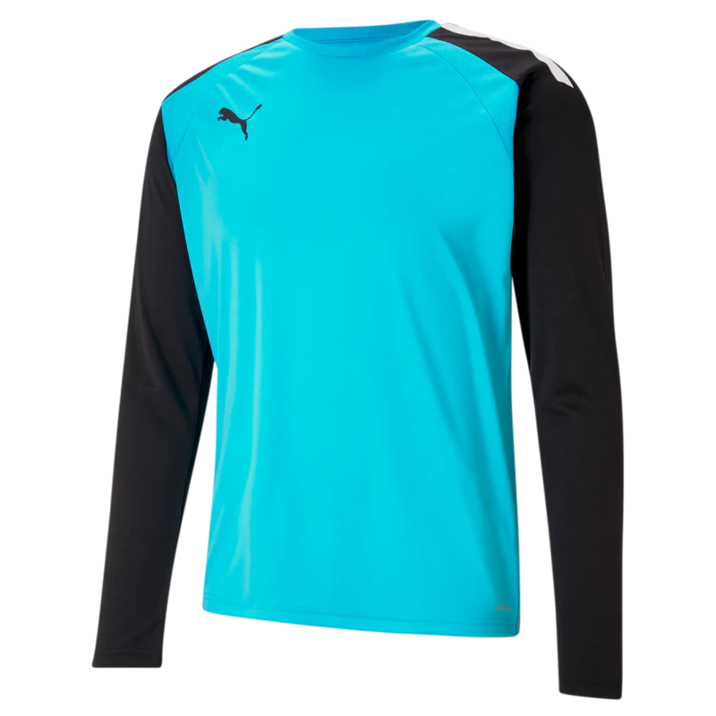 PUMA TEAM YOUTH GOALKEEPER JERSEY