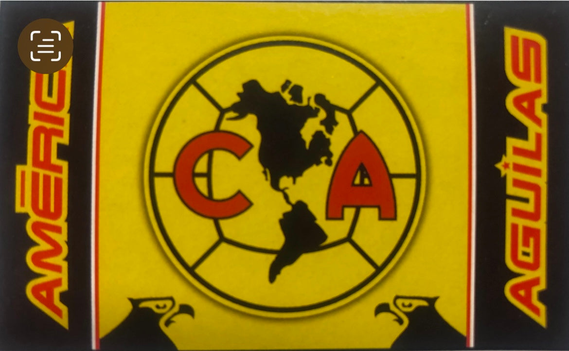 CLUB AMERICA FLAG