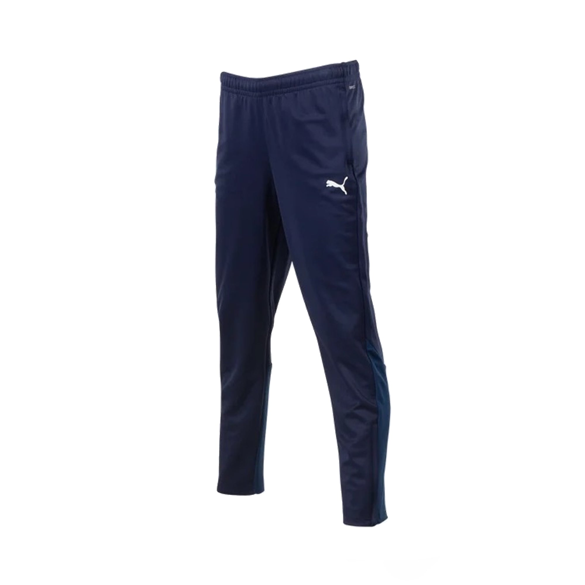 PUMA JURUPA AYSO 462 TEAM GOAL YOUTH AND ADULT TRAINING PANT