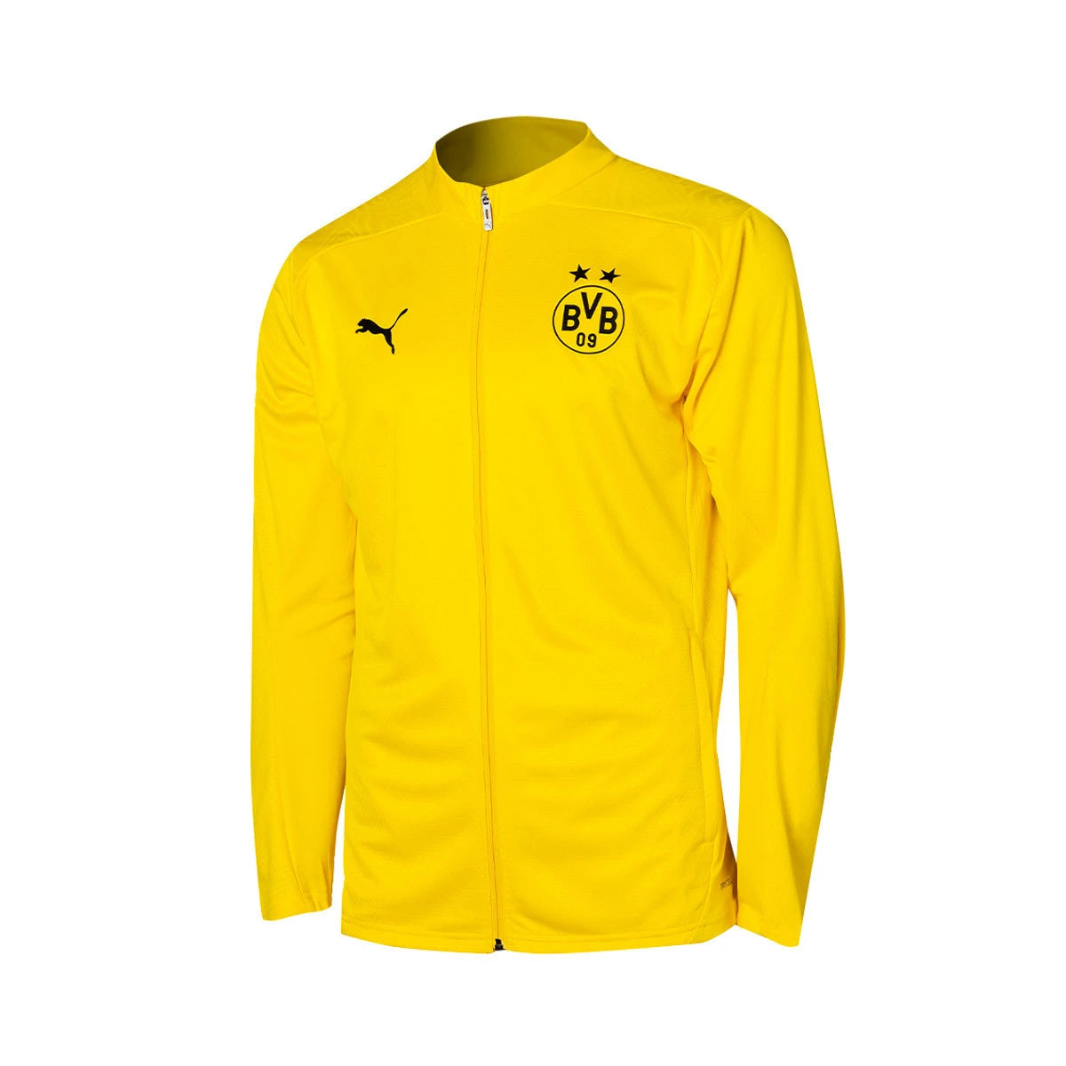 PUMA BVB TRAINING JACKET