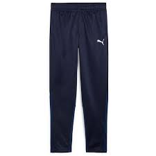 PUMA TEAM GOAL TRAINING PANT