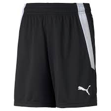 PUMA JR TEAM LIGA SHORTS