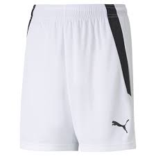 PUMA JR TEAM LIGA SHORTS