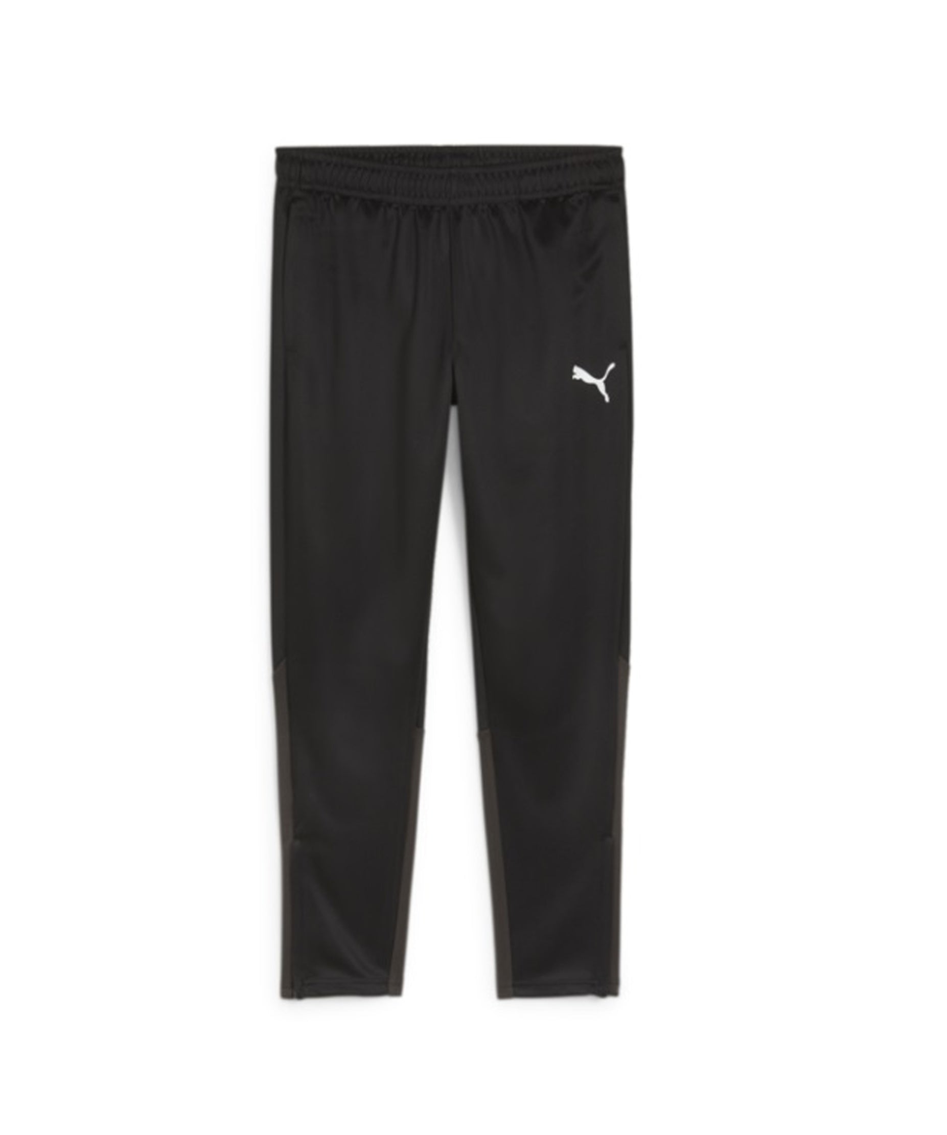 FCA PUMA TEAM GOAL WARM UP PANTS