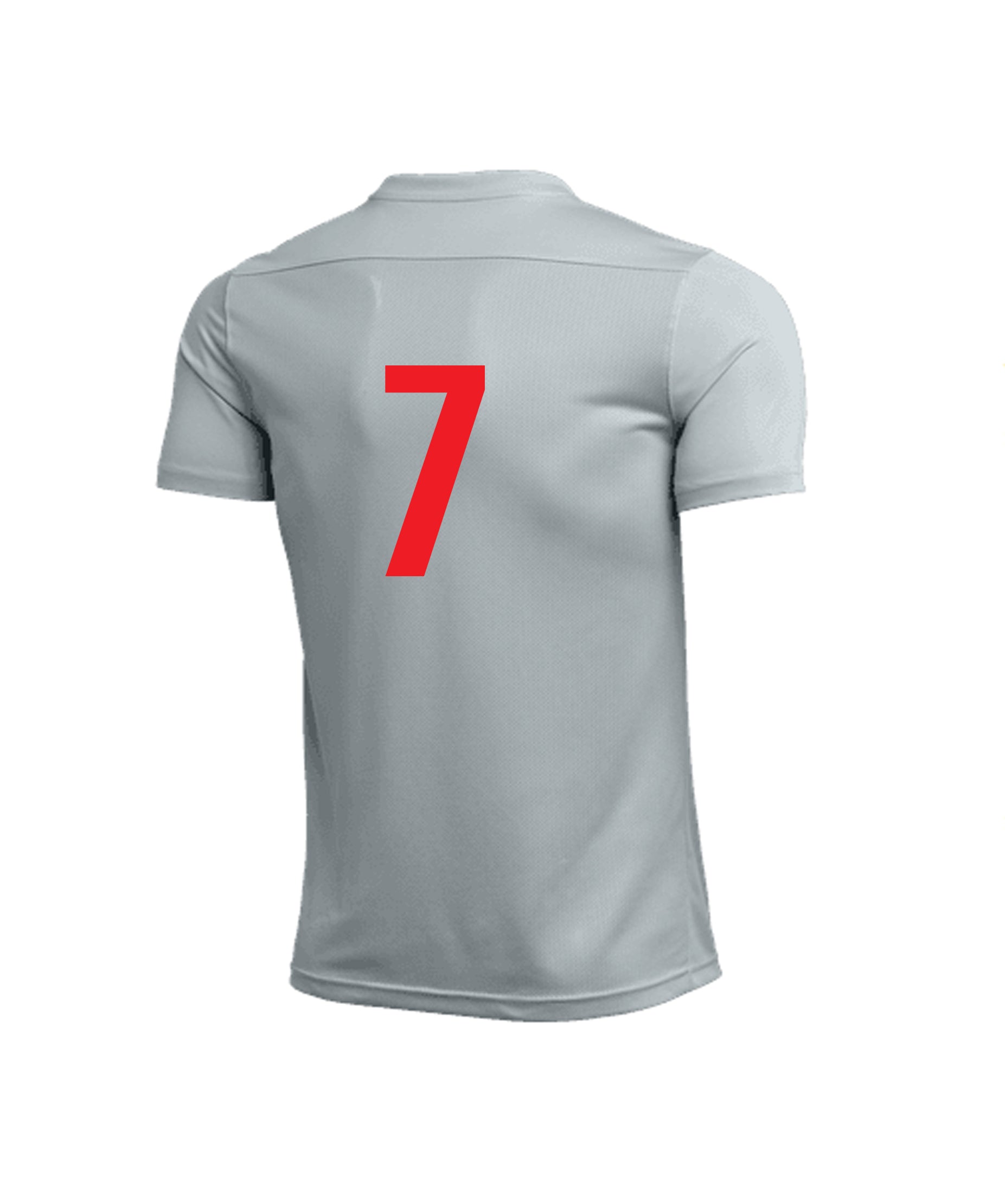 SENTINELS FC NIKE YOUTH AND ADULT PARK TRAINING JERSEY - GREY