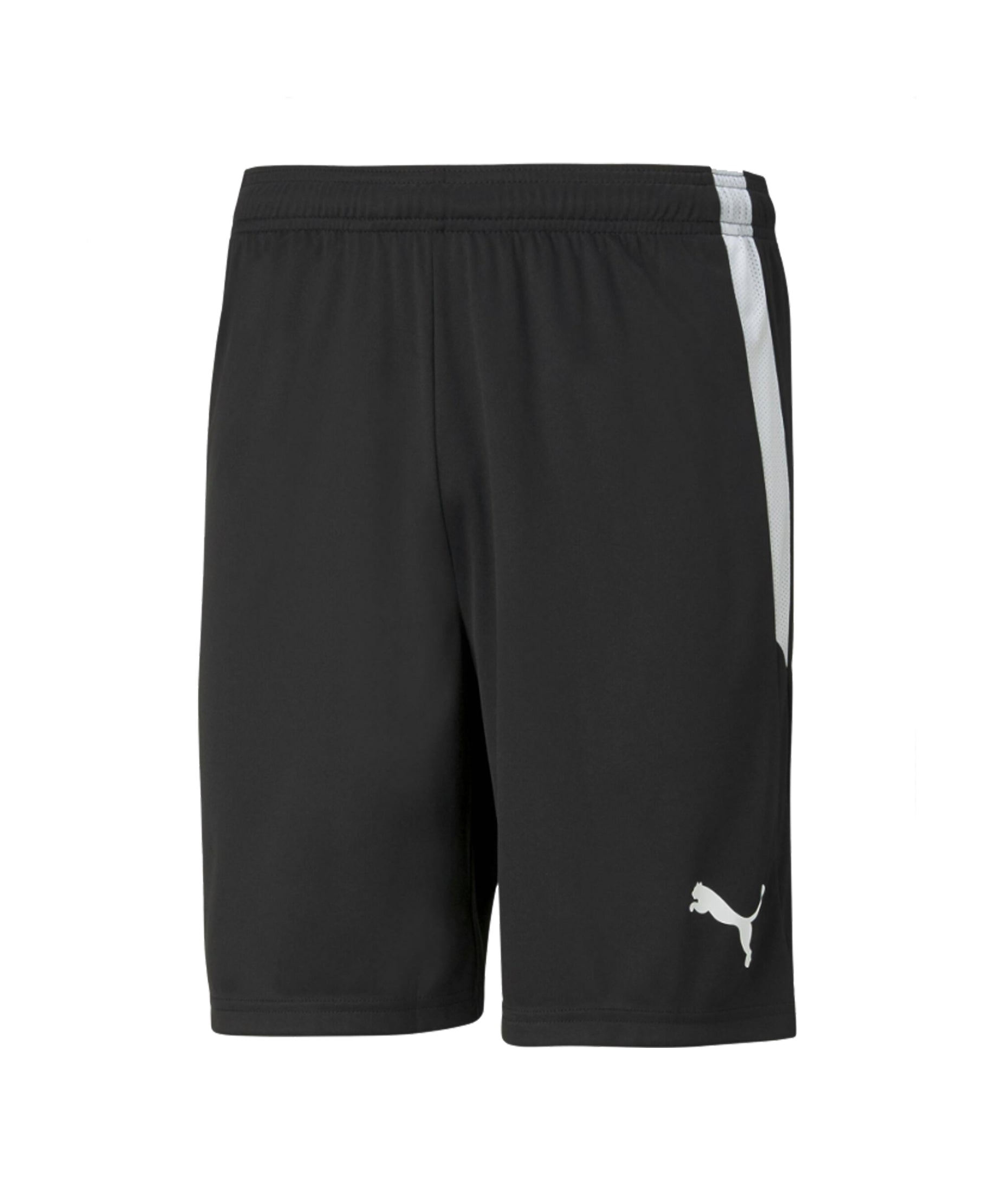 CLAREMONT STARS MEN AND YOUTH PUMA TEAM LIGA SHORTS