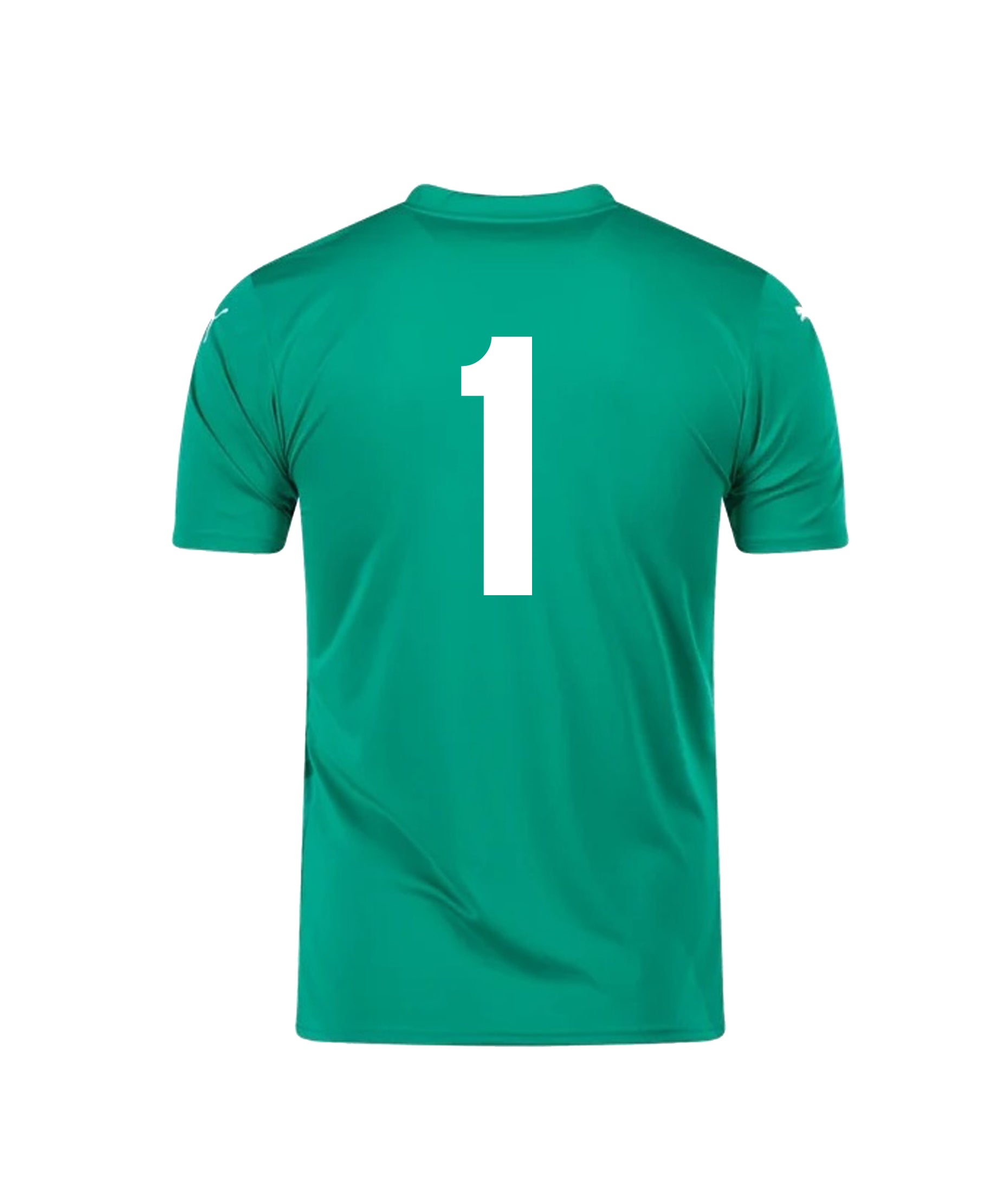 FURY FC MEN'S PUMA TEAM ULTIMATE GK JERSEY