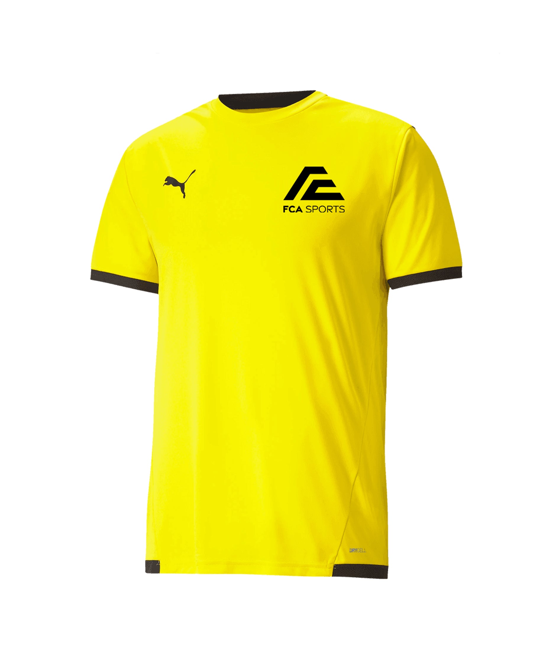 FCA PUMA LIGA 25 PRACTICE JERSEY