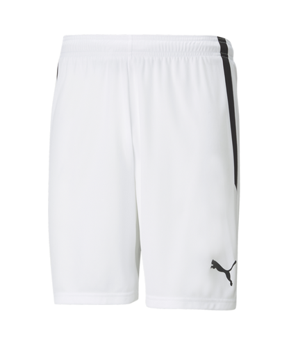 FCA PUMA TEAM LIGA SHORTS