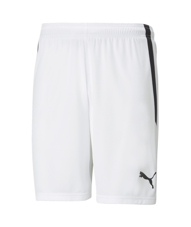 FCA PUMA TEAM LIGA SHORTS