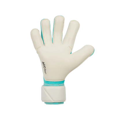 NIKE GK VAPOR GRIP3