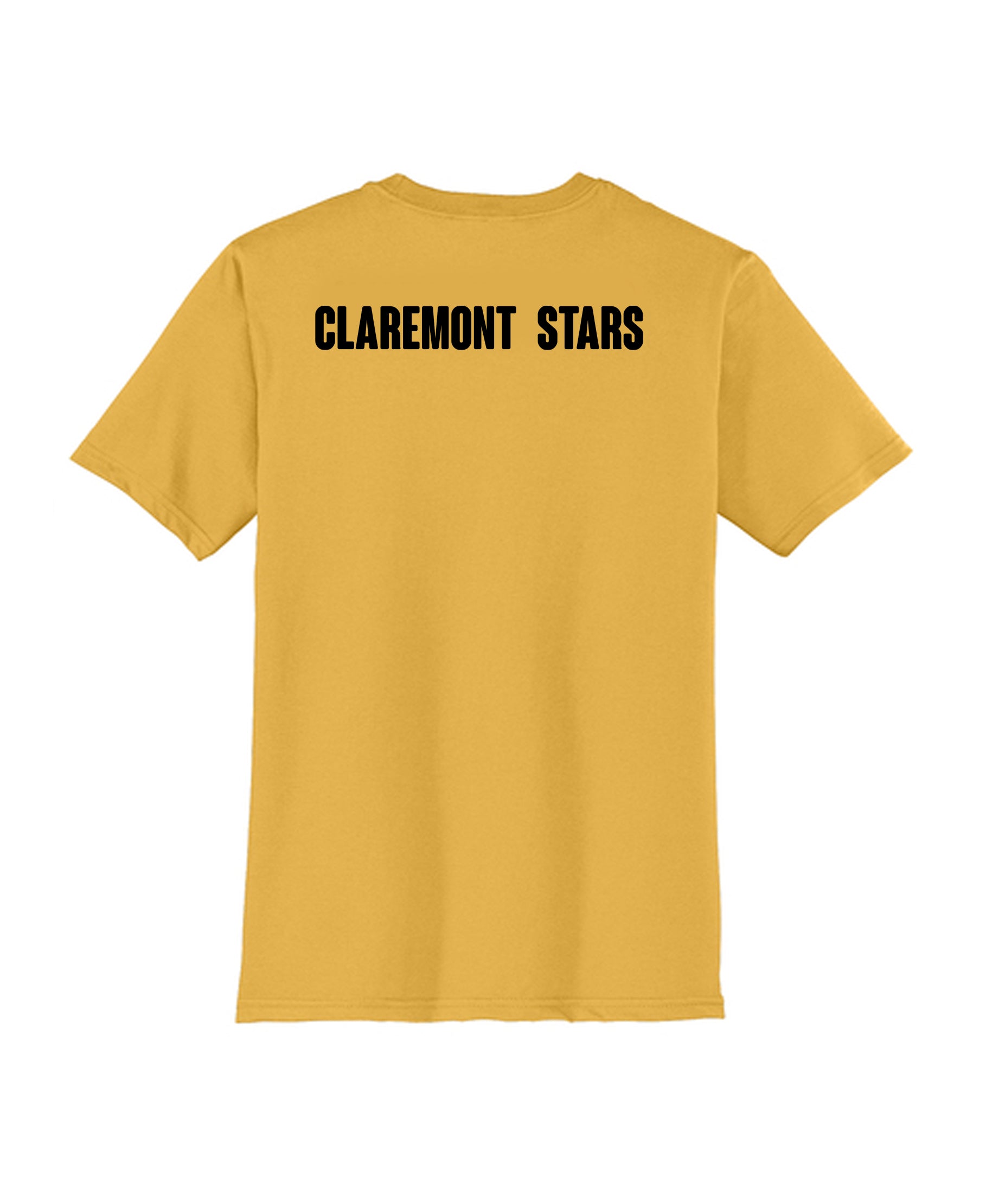 STARSFN DT6000 IMPORTANT TEE