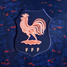 Nike France 2025 Stadium Home Jersey
