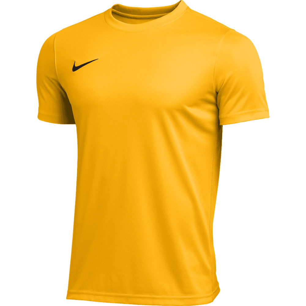 NIKE Vll PARK JERSEY