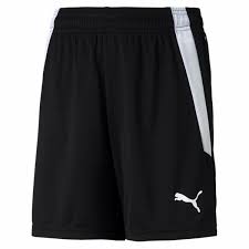 PUMA TEAM LIGA SHORTS