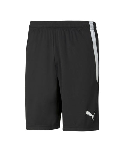 FCA PUMA TEAM LIGA SHORTS