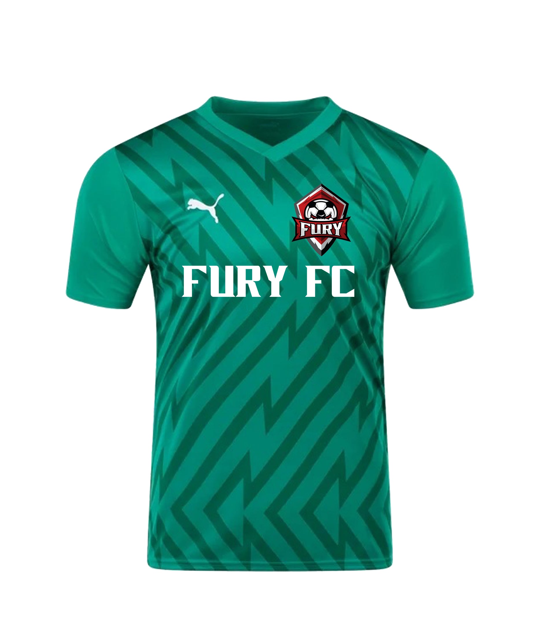 FURY FC YOUTH AND MEN'S PUMA TEAM GLORY 26 GK JERSEY